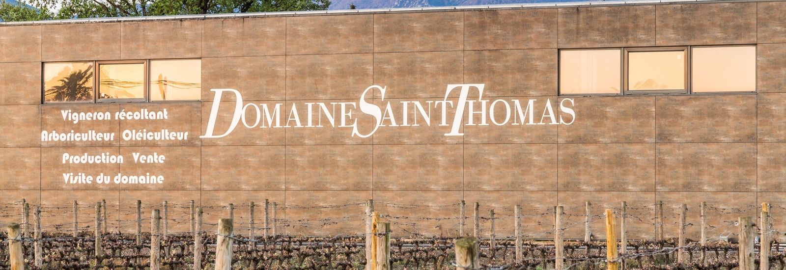 domaine saint thomas