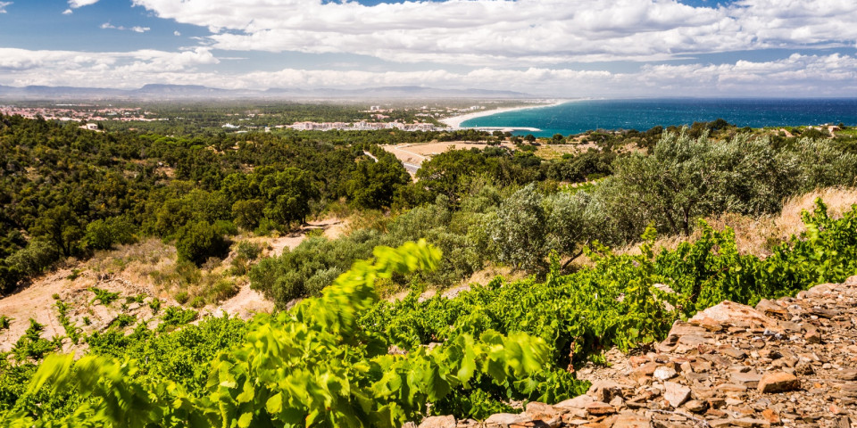 collioure