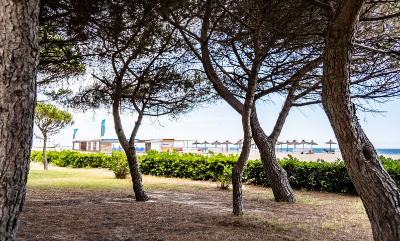 plage des pins argeles