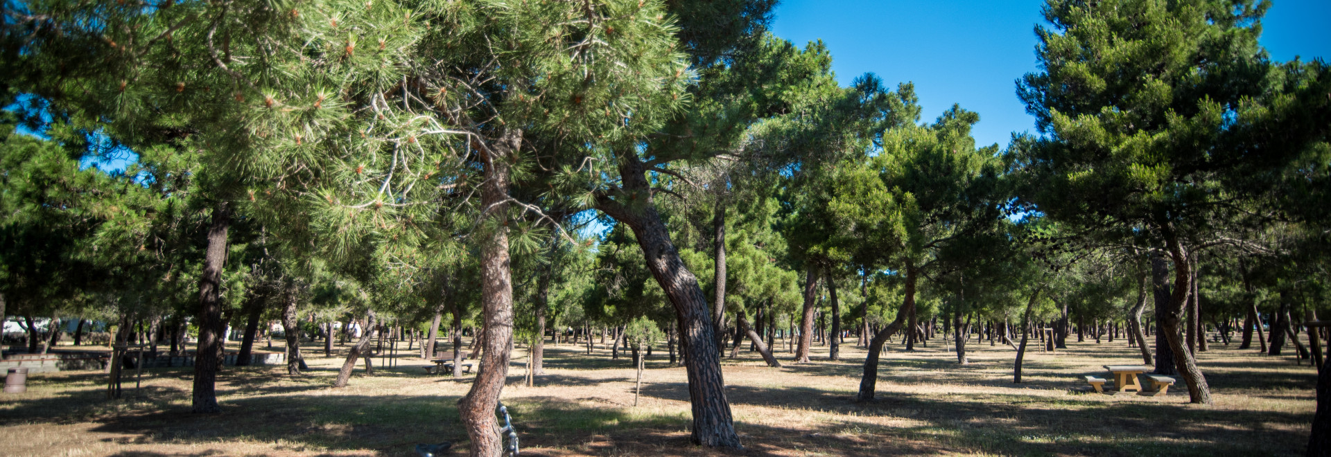 bois argeles